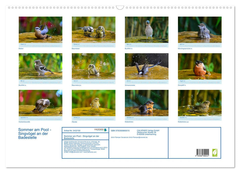 Sommer am Pool - Singvögel an der Badestelle (CALVENDO Wandkalender 2027)