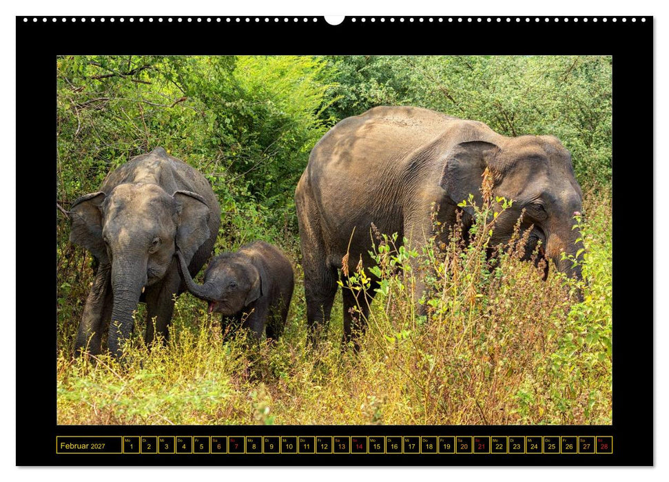 Sri Lanka - Landschaft und Kultur (CALVENDO Premium Wandkalender 2027)