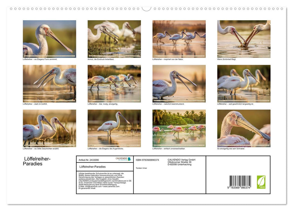 Löffelreiher-Paradies (CALVENDO Premium Wandkalender 2027)