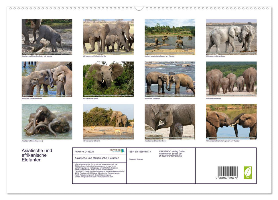 Asiatische und afrikanische Elefanten (CALVENDO Premium Wandkalender 2027)