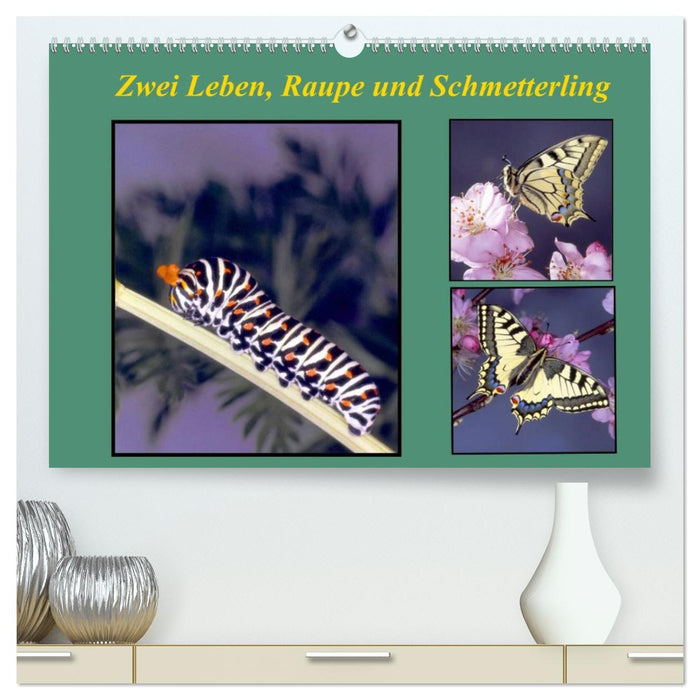 Zwei Leben, Raupe und Schmetterling (CALVENDO Premium Wandkalender 2027)