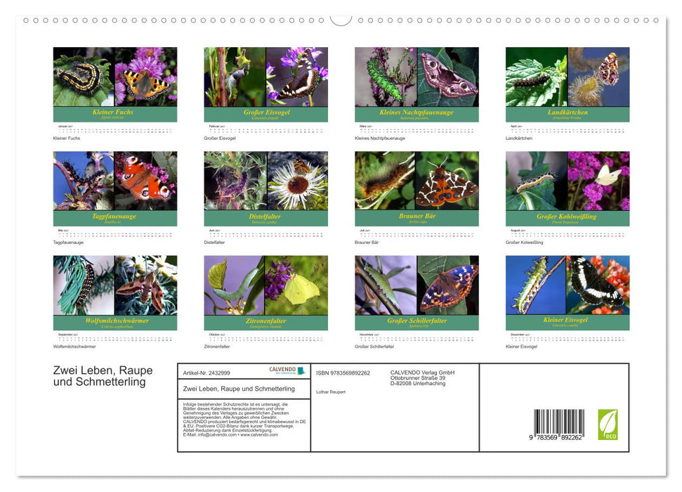 Zwei Leben, Raupe und Schmetterling (CALVENDO Premium Wandkalender 2027)