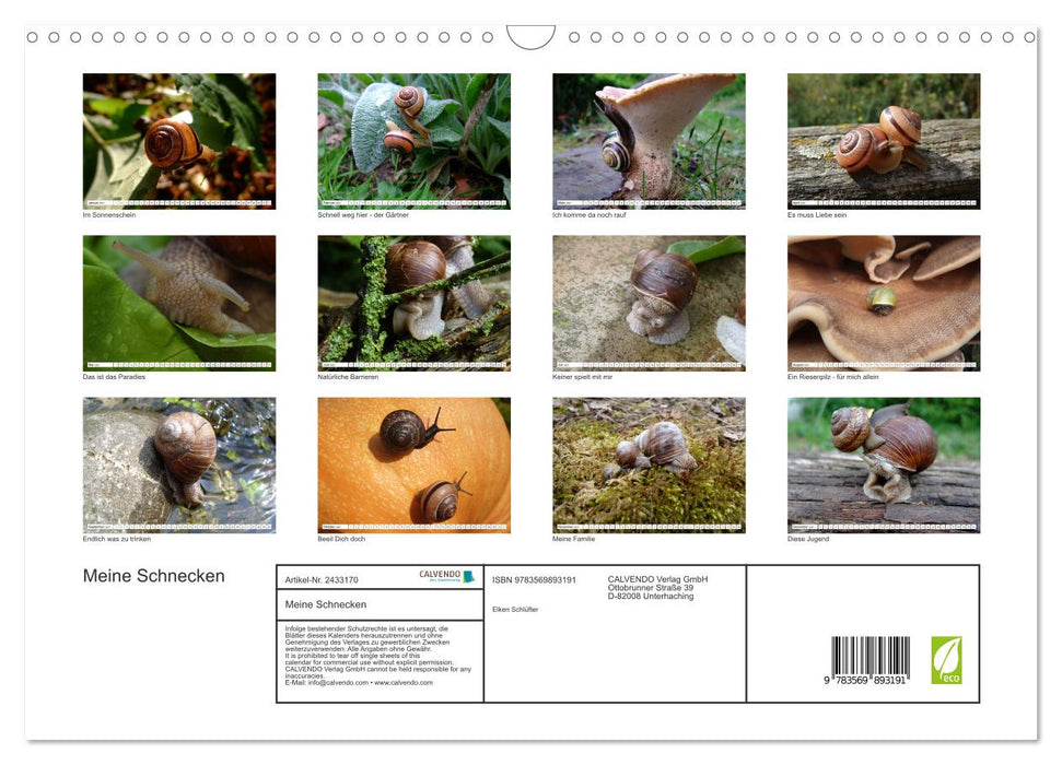 Meine Schnecken (CALVENDO Wandkalender 2027)