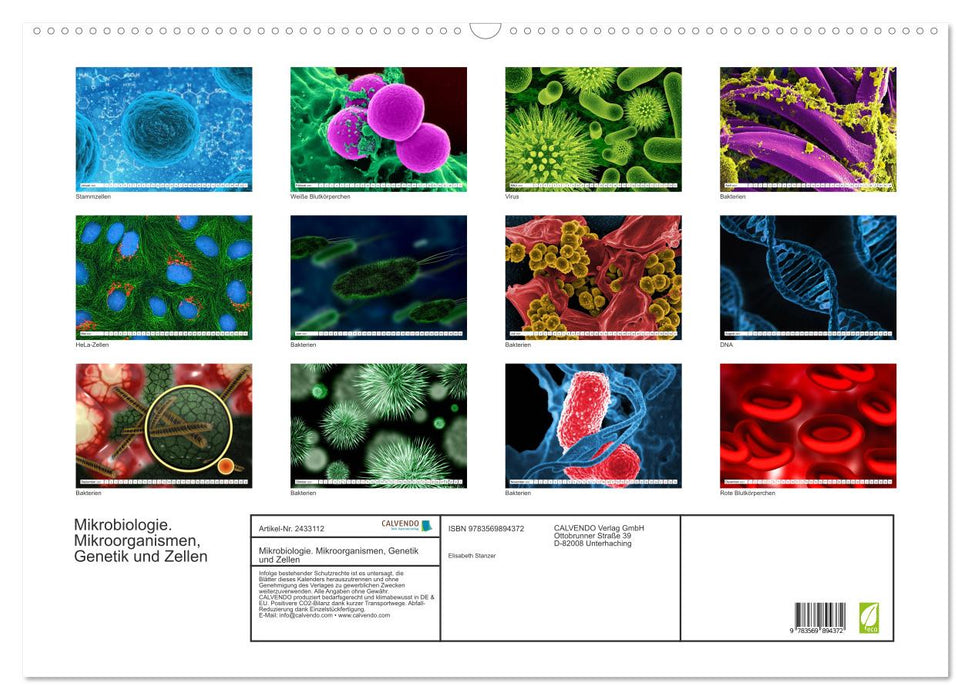 Mikrobiologie. Mikroorganismen, Genetik und Zellen (CALVENDO Wandkalender 2027)