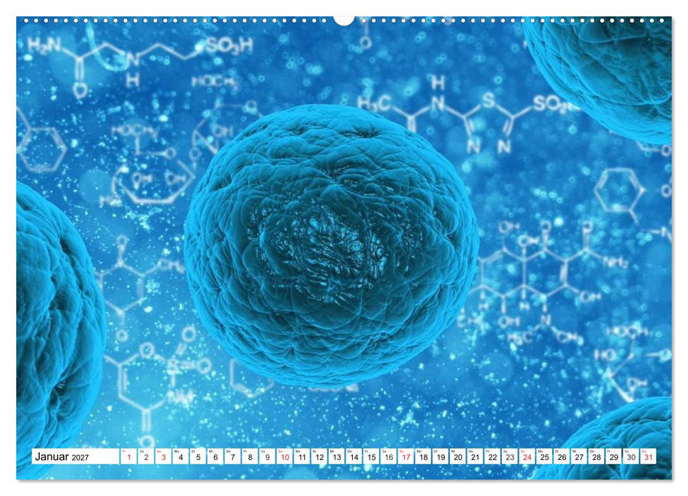 Mikrobiologie. Mikroorganismen, Genetik und Zellen (CALVENDO Wandkalender 2027)