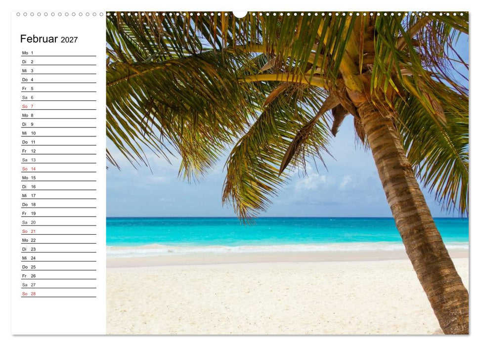 Traumstrände in der Karibik (CALVENDO Premium Wandkalender 2027)