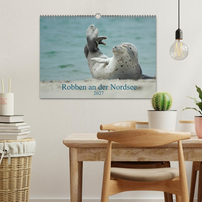 Robben an der Nordsee (CALVENDO Wandkalender 2027)