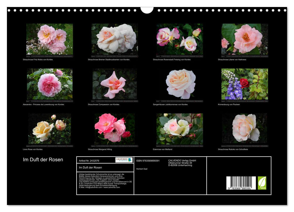 Im Duft der Rosen (CALVENDO Wandkalender 2027)
