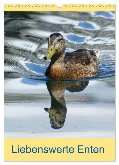 Liebenswerte Enten (CALVENDO Wandkalender 2027)