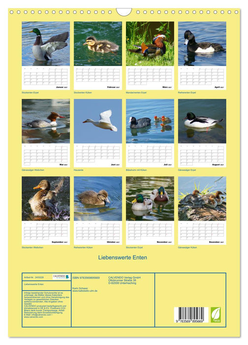 Liebenswerte Enten (CALVENDO Wandkalender 2027)