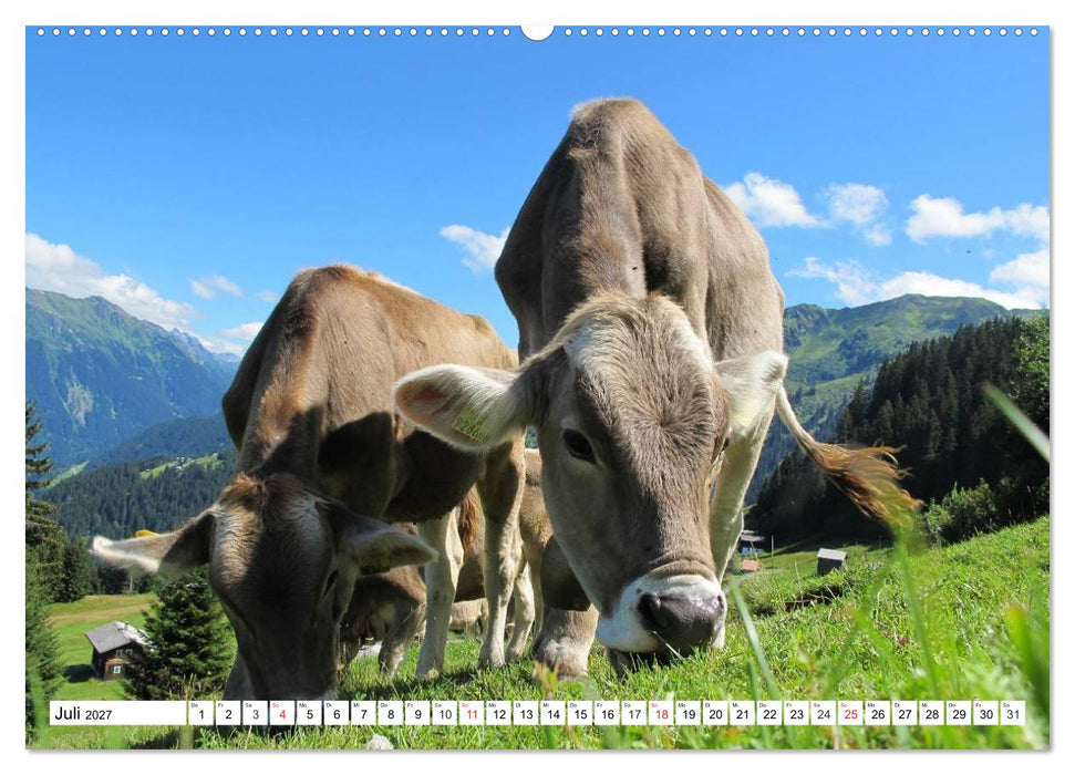 Geliebte Steiermark im Herzen Österreichs (CALVENDO Premium Wandkalender 2027)