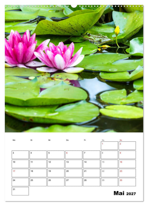 Farben der Natur (CALVENDO Premium Wandkalender 2027)