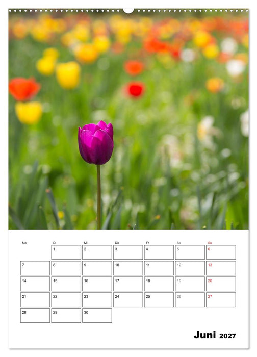 Farben der Natur (CALVENDO Premium Wandkalender 2027)