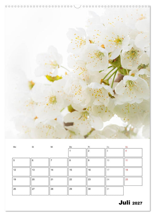 Farben der Natur (CALVENDO Premium Wandkalender 2027)