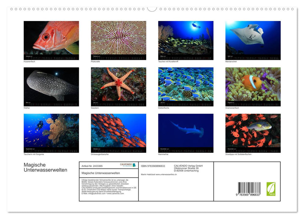 Magische Unterwasserwelten (CALVENDO Premium Wandkalender 2027)