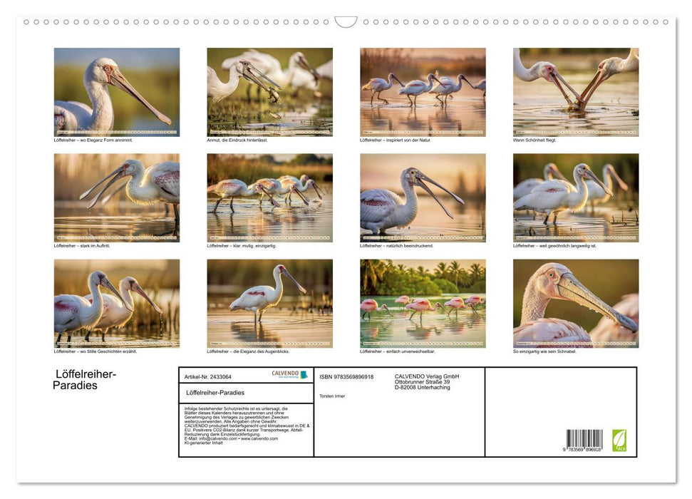 Löffelreiher-Paradies (CALVENDO Wandkalender 2027)