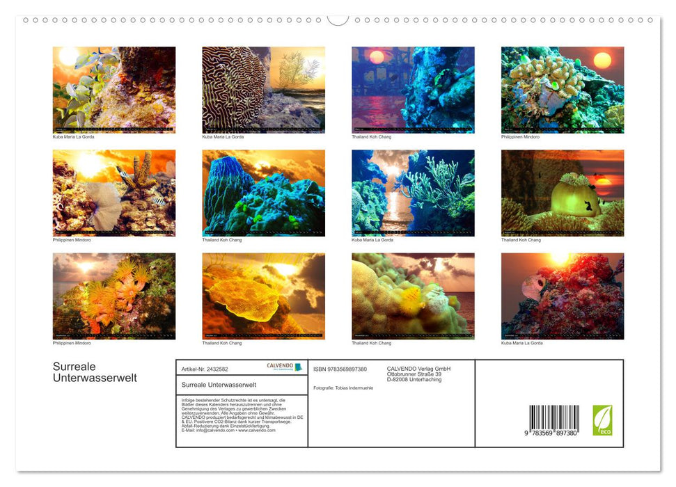 Surreale Unterwasserwelt (CALVENDO Premium Wandkalender 2027)