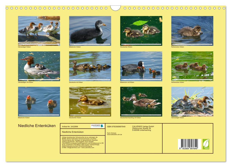 Niedliche Entenküken (CALVENDO Wandkalender 2027)