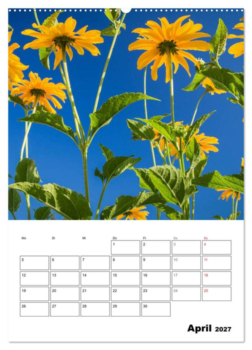 Farben der Natur (CALVENDO Wandkalender 2027)