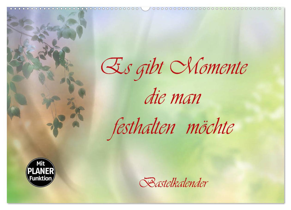 Es gibt Momente die man festhalten möchte (CALVENDO Wandkalender 2027)