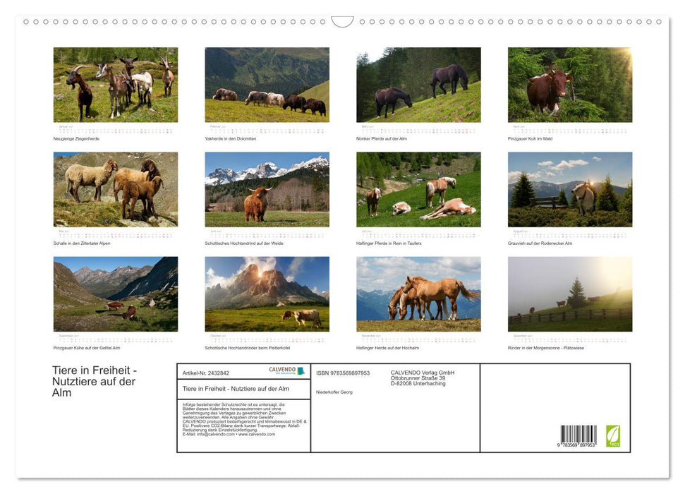 Tiere in Freiheit - Nutztiere auf der Alm (CALVENDO Wandkalender 2027)