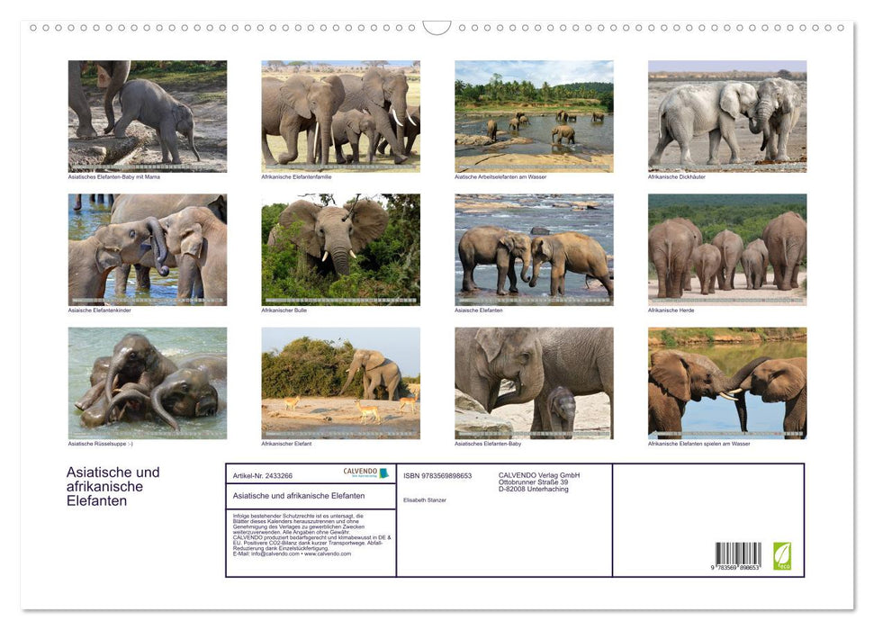 Asiatische und afrikanische Elefanten (CALVENDO Wandkalender 2027)