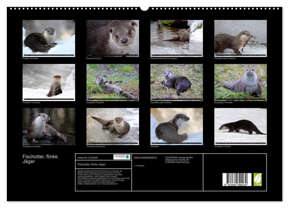 Fischotter, flinke Jäger (CALVENDO Premium Wandkalender 2027)
