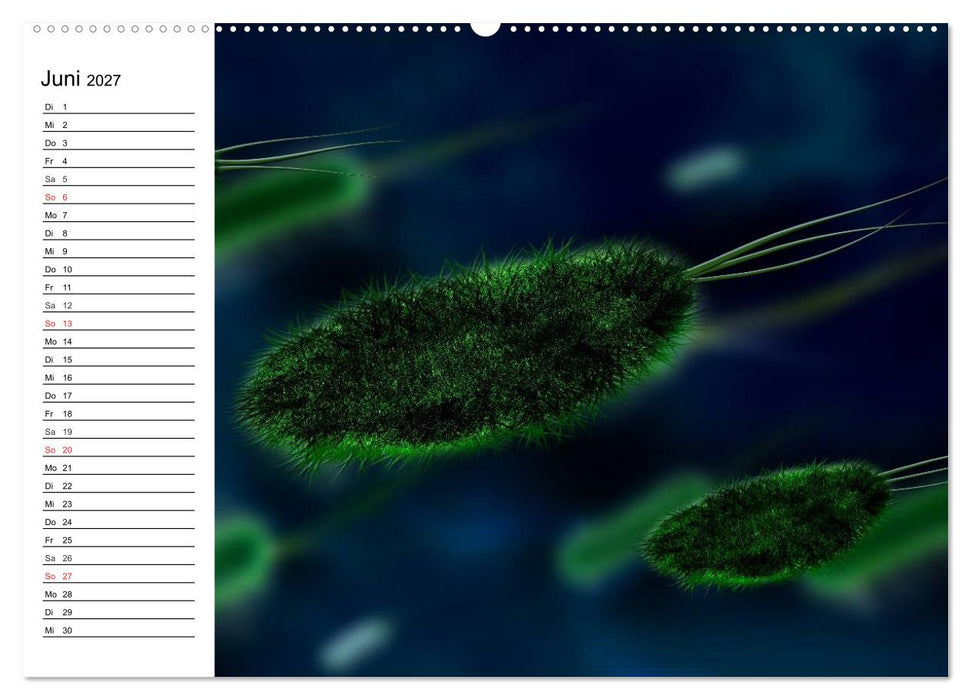 Mikrobiologie. Mikroorganismen, Genetik und Zellen (CALVENDO Premium Wandkalender 2027)