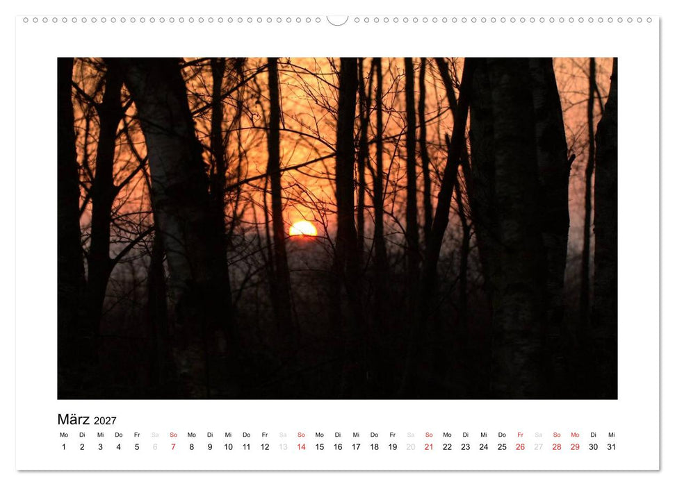 Winter im Teufelsmoor (CALVENDO Wandkalender 2027)