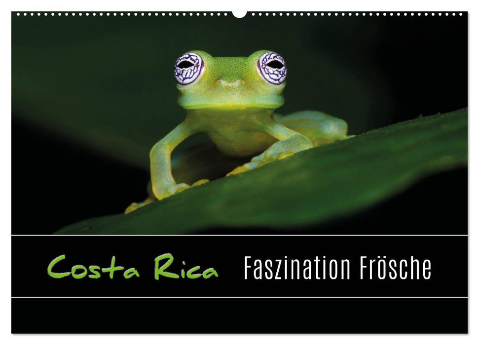 Costa Rica - Faszination Frösche (CALVENDO Wandkalender 2027)