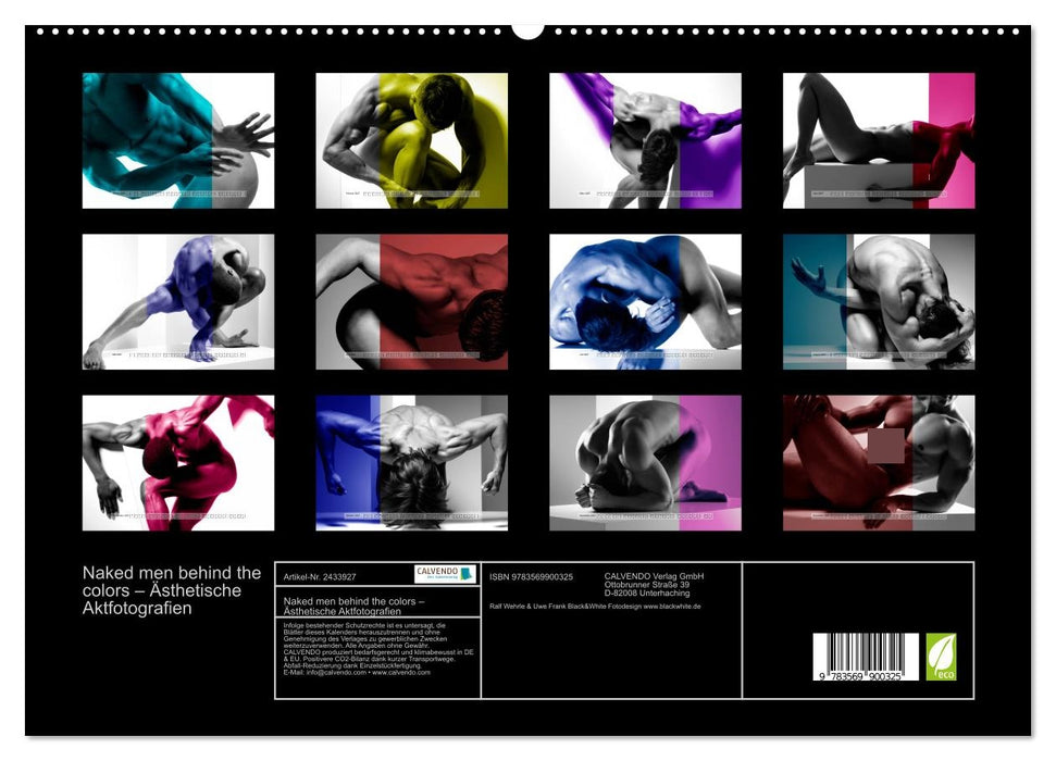 Naked men behind the colors – Ästhetische Aktfotografien (CALVENDO Premium Wandkalender 2027)