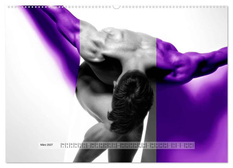 Naked men behind the colors – Ästhetische Aktfotografien (CALVENDO Premium Wandkalender 2027)