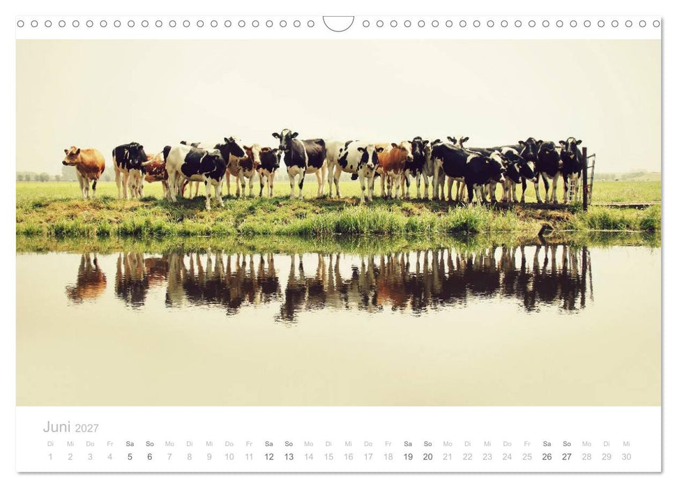 Polderlandschaften in Holland (CALVENDO Wandkalender 2027)