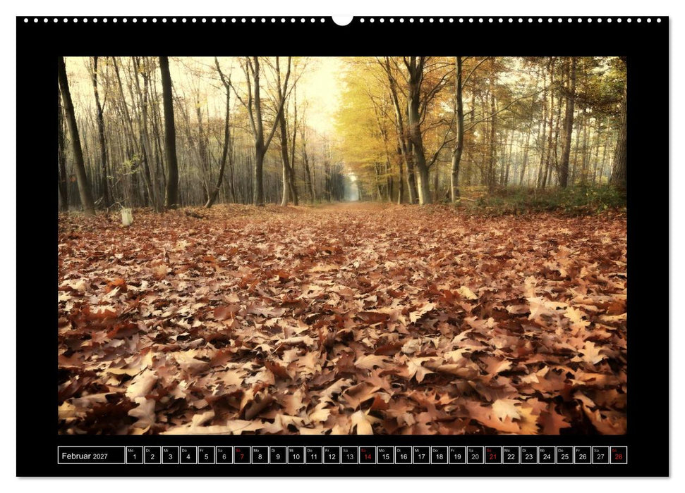 Der Reichswald bei Kleve (CALVENDO Wandkalender 2027)