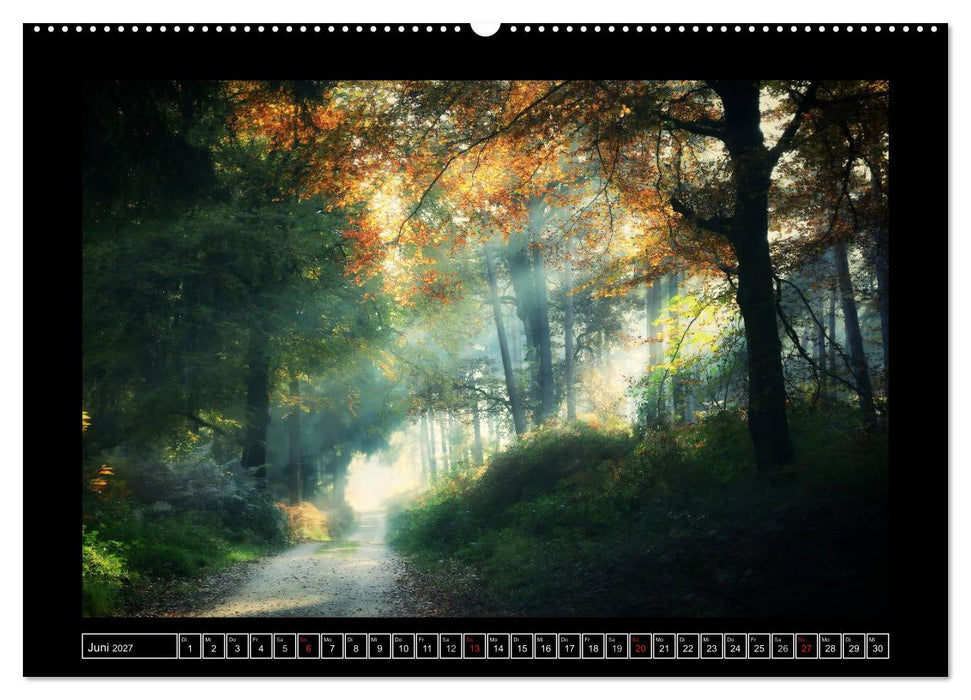 Der Reichswald bei Kleve (CALVENDO Wandkalender 2027)