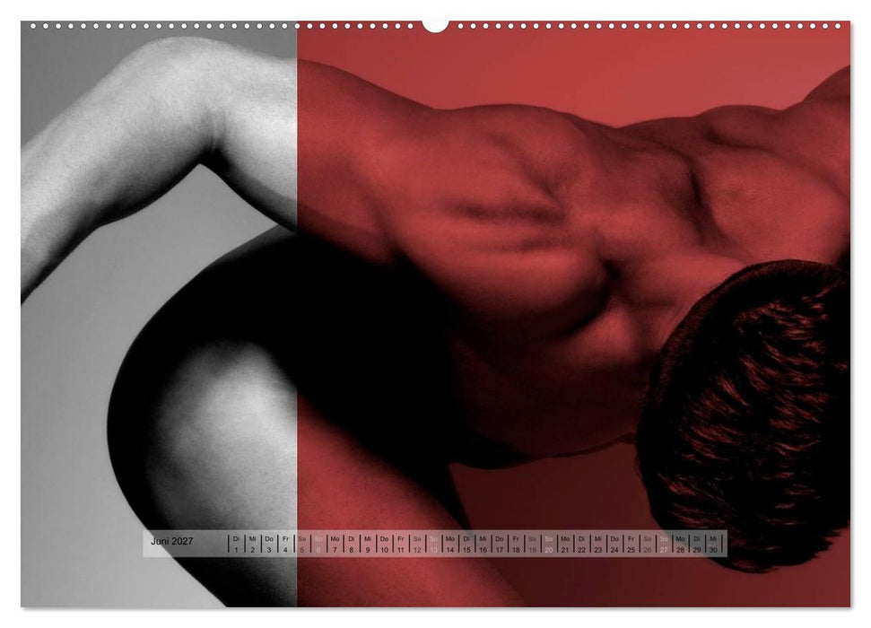 Naked men behind the colors – Ästhetische Aktfotografien (CALVENDO Wandkalender 2027)