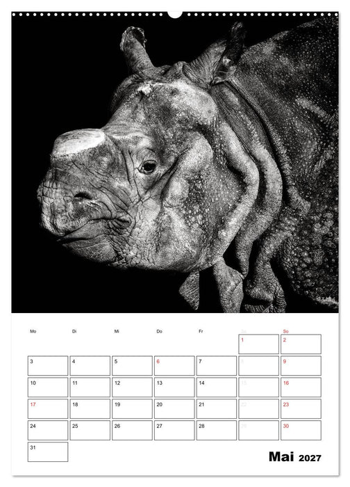 Charakterköpfe aus der Welt der Tiere (CALVENDO Premium Wandkalender 2027)