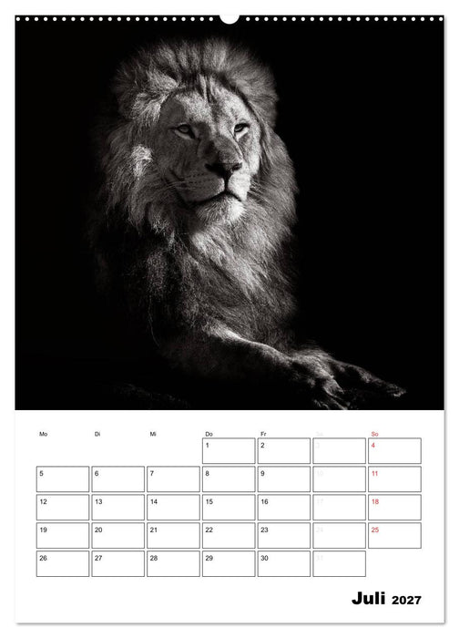 Charakterköpfe aus der Welt der Tiere (CALVENDO Premium Wandkalender 2027)