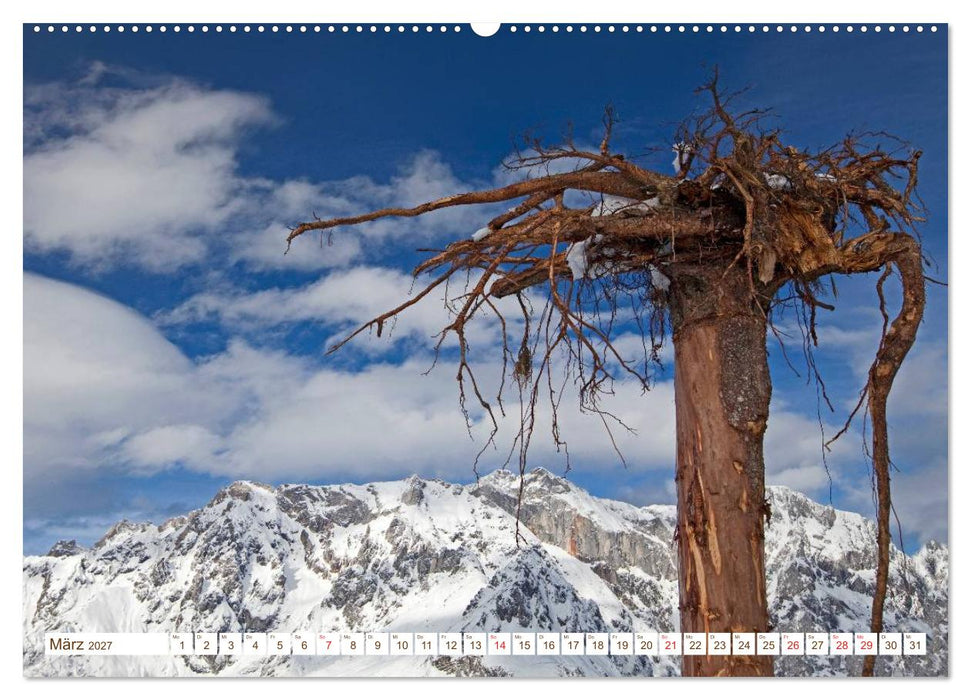 Alles aus Holz (CALVENDO Premium Wandkalender 2027)