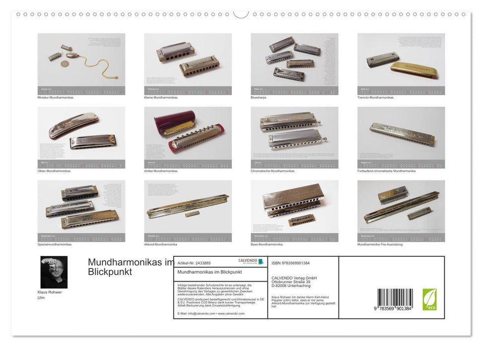 Mundharmonikas im Blickpunkt (CALVENDO Wandkalender 2027)