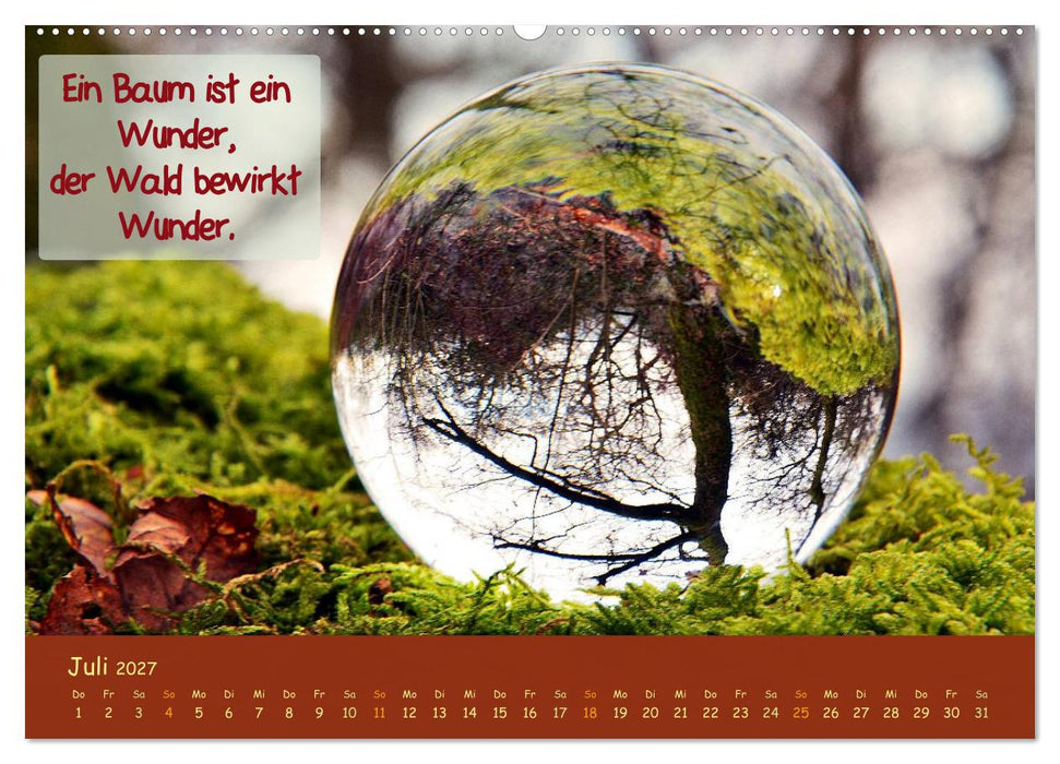 Wunderbare Waldkugeln (CALVENDO Premium Wandkalender 2027)