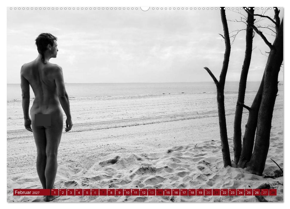 Haut(e) Couture (CALVENDO Wandkalender 2027)