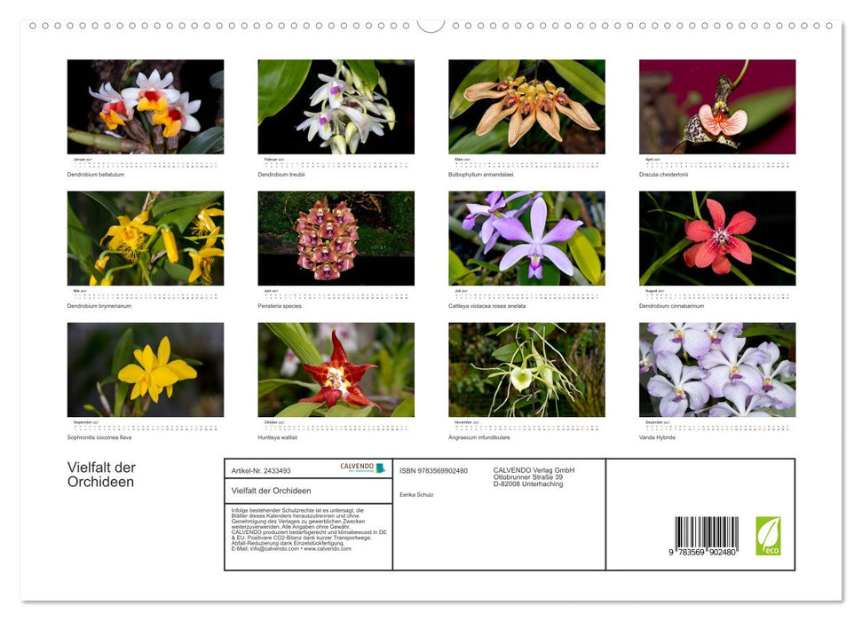 Vielfalt der Orchideen (CALVENDO Premium Wandkalender 2027)