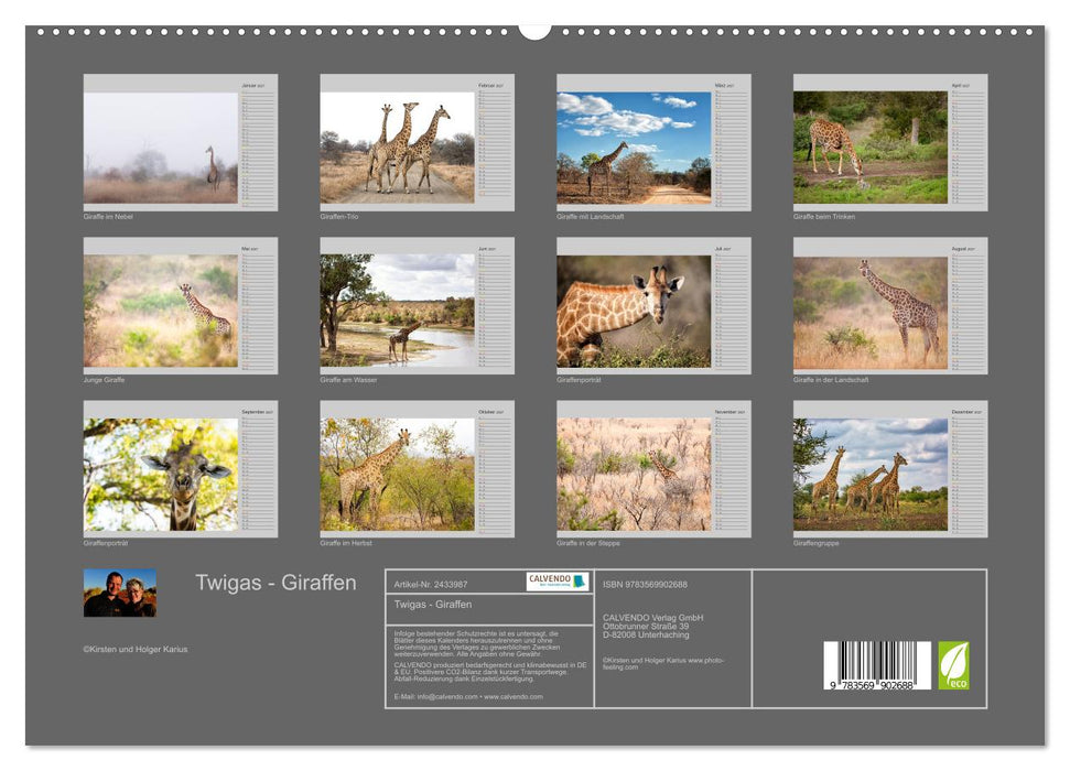 Twigas - Giraffen (CALVENDO Premium Wandkalender 2027)