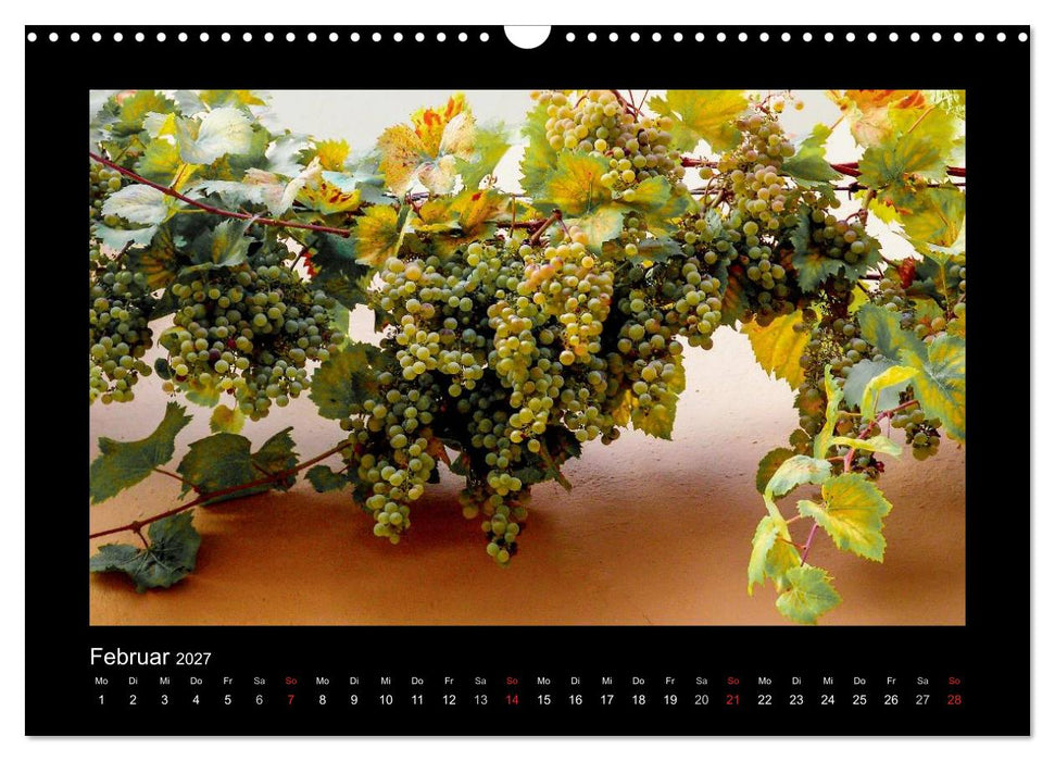 Wein - Reben, Wingerte und historische Weinkeller (CALVENDO Wandkalender 2027)