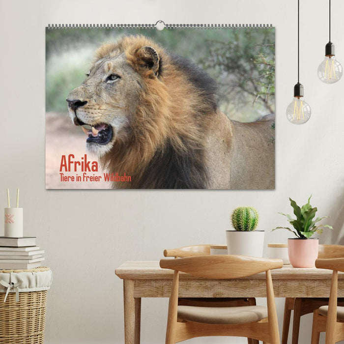 Afrika. Tiere in freier Wildbahn (CALVENDO Wandkalender 2027)