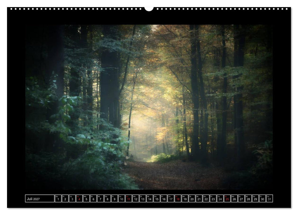 Der Reichswald bei Kleve (CALVENDO Premium Wandkalender 2027)