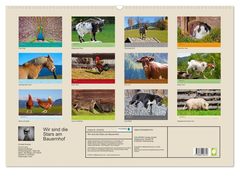 Wir sind die Stars am Bauernhof (CALVENDO Wandkalender 2027)