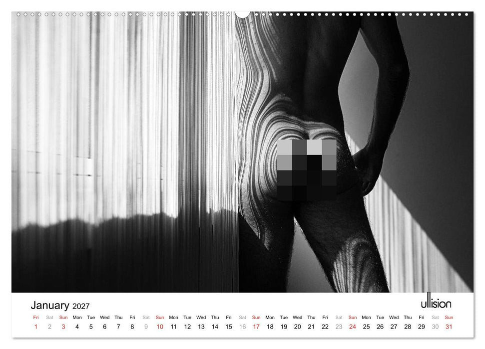 Male Nude Art (CALVENDO Premium-Calendar 2027)