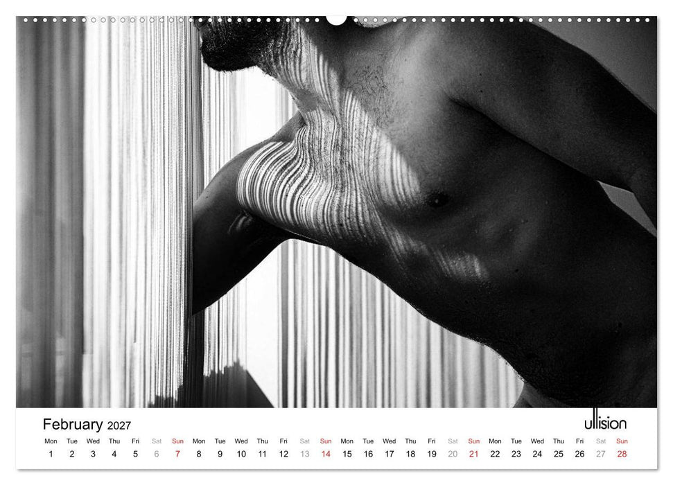Male Nude Art (CALVENDO Premium-Calendar 2027)